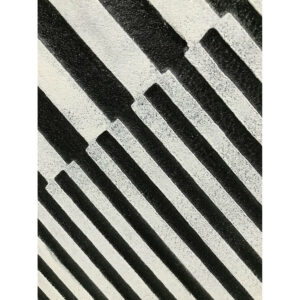 S3054784_3 S3054784_3
