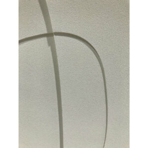 S3054786_4 S3054786_4