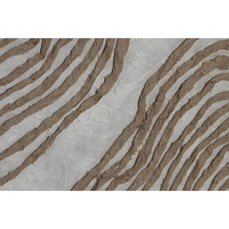 S3054655_2 S3054655_2