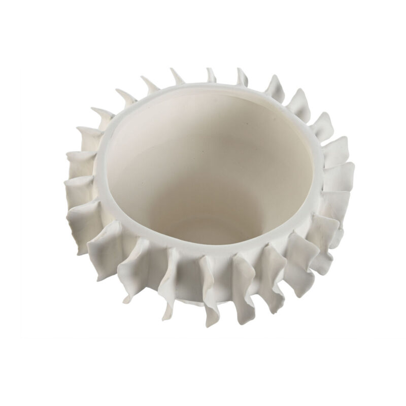 S3056372_1 S3056372_1