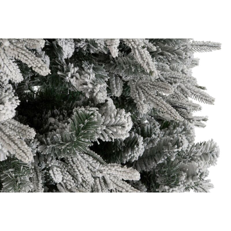 S3058519_2 S3058519_2