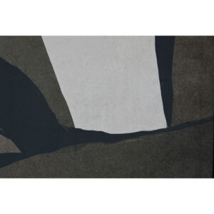 S3058725_2 S3058725_2