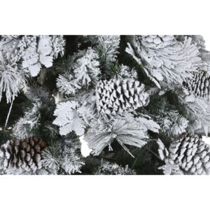 S3062221_1 S3062221_1