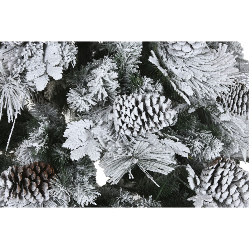 S3062221_1 S3062221_1