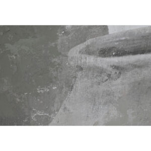 S3061832_1 S3061832_1