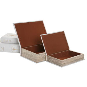 S3062412_2 S3062412_2