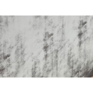 S3062422_2 S3062422_2