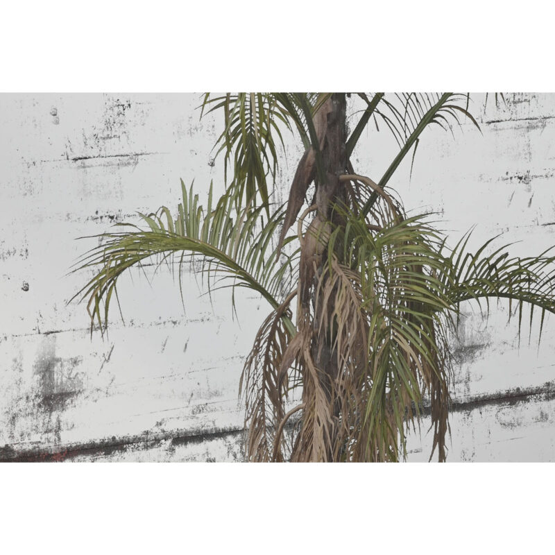 S3062425_2 S3062425_2