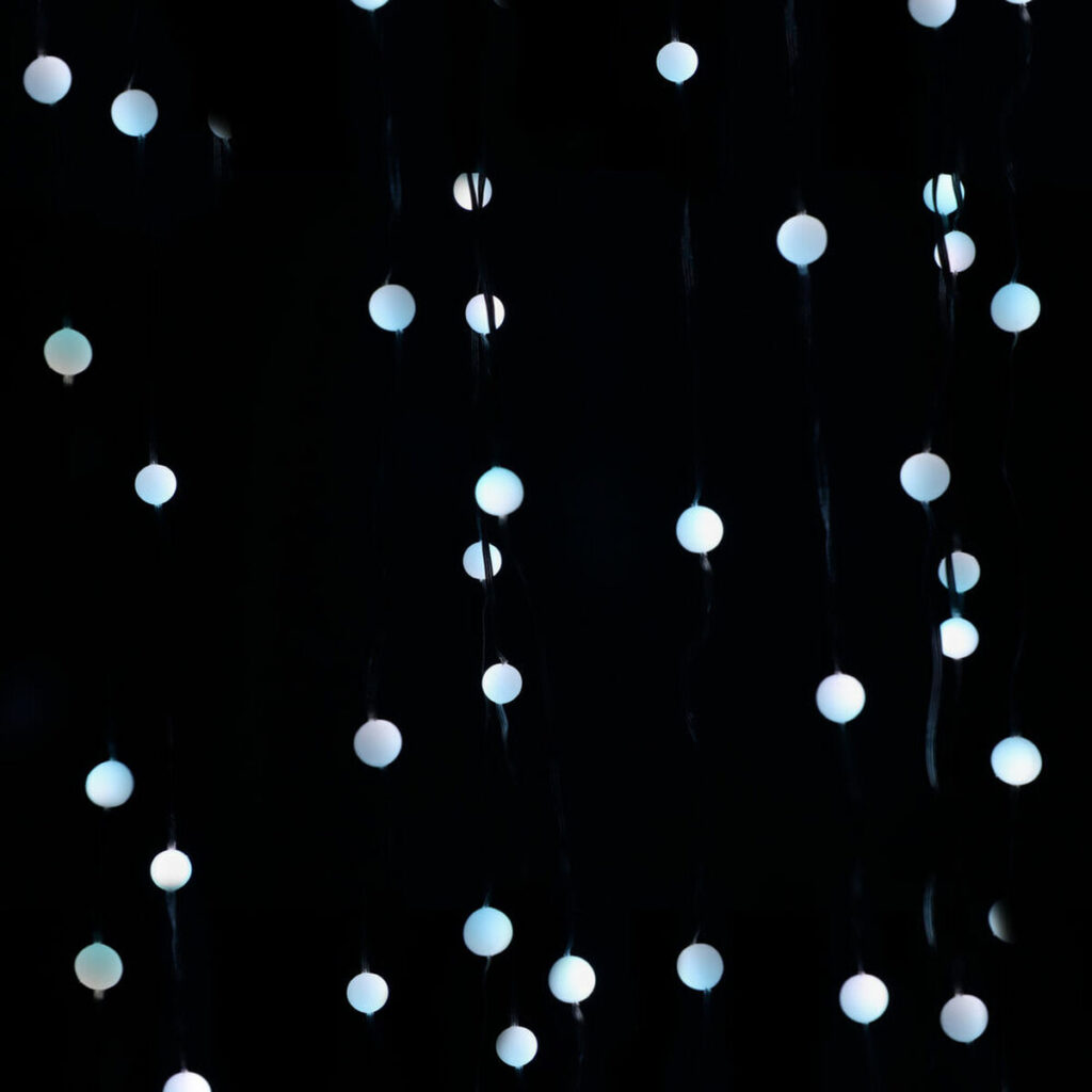 S1905797_15 S1905797_15