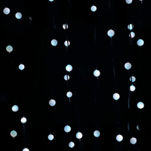 S1905797_15 S1905797_15