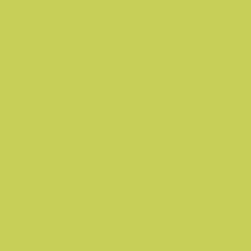 D2101329_2 D2101329_2
