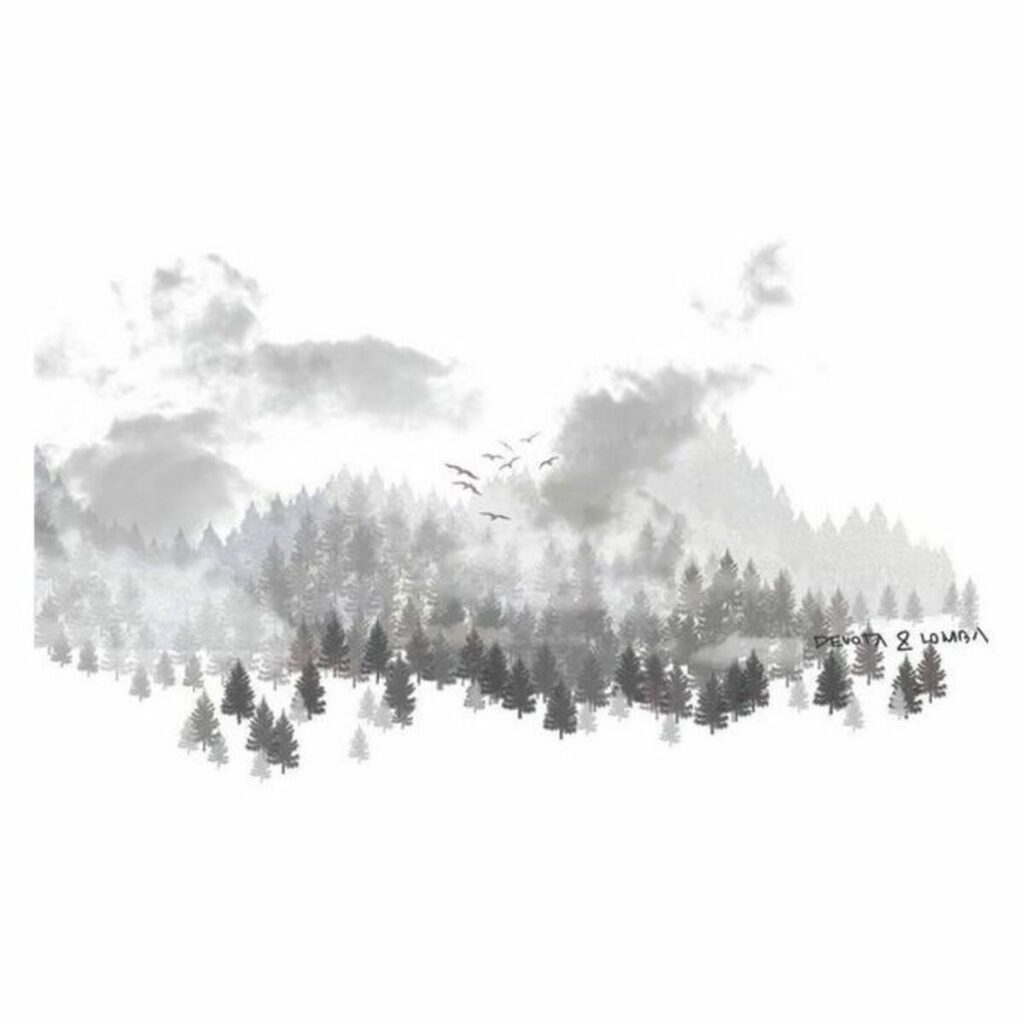 S2803436_1 S2803436_1