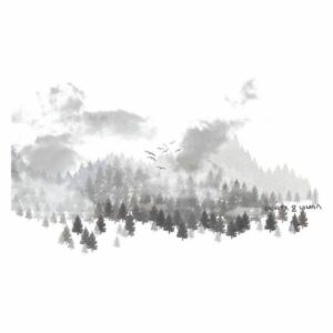 S2803436_1 S2803436_1