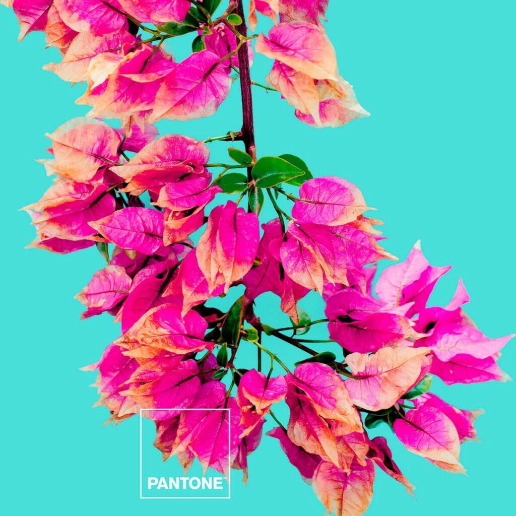 S2805346_2 S2805346_2