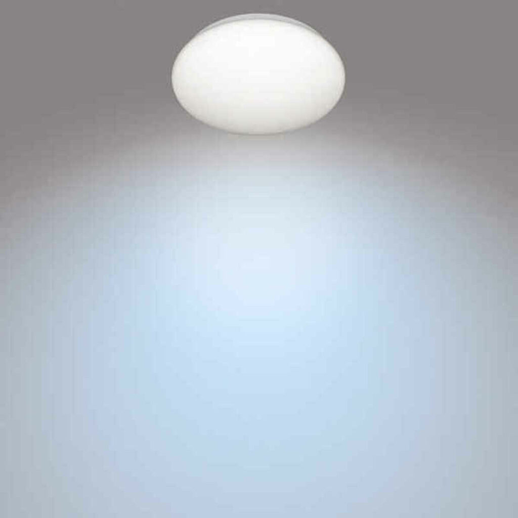 S7907808_1 S7907808_1