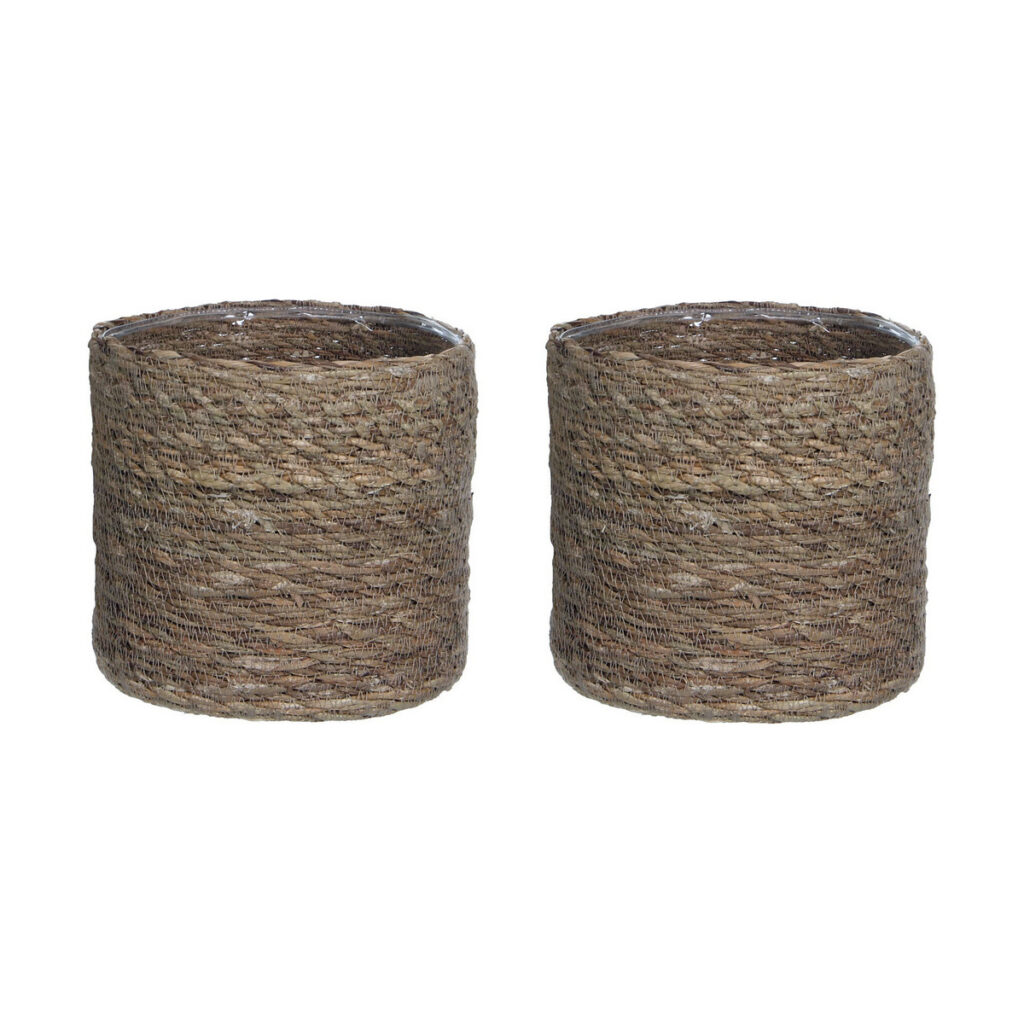 S7904440_1 S7904440_1