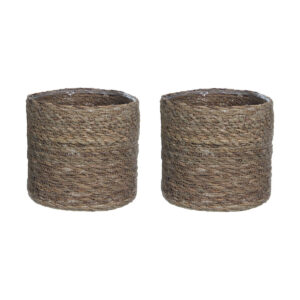 S7904440_1 S7904440_1