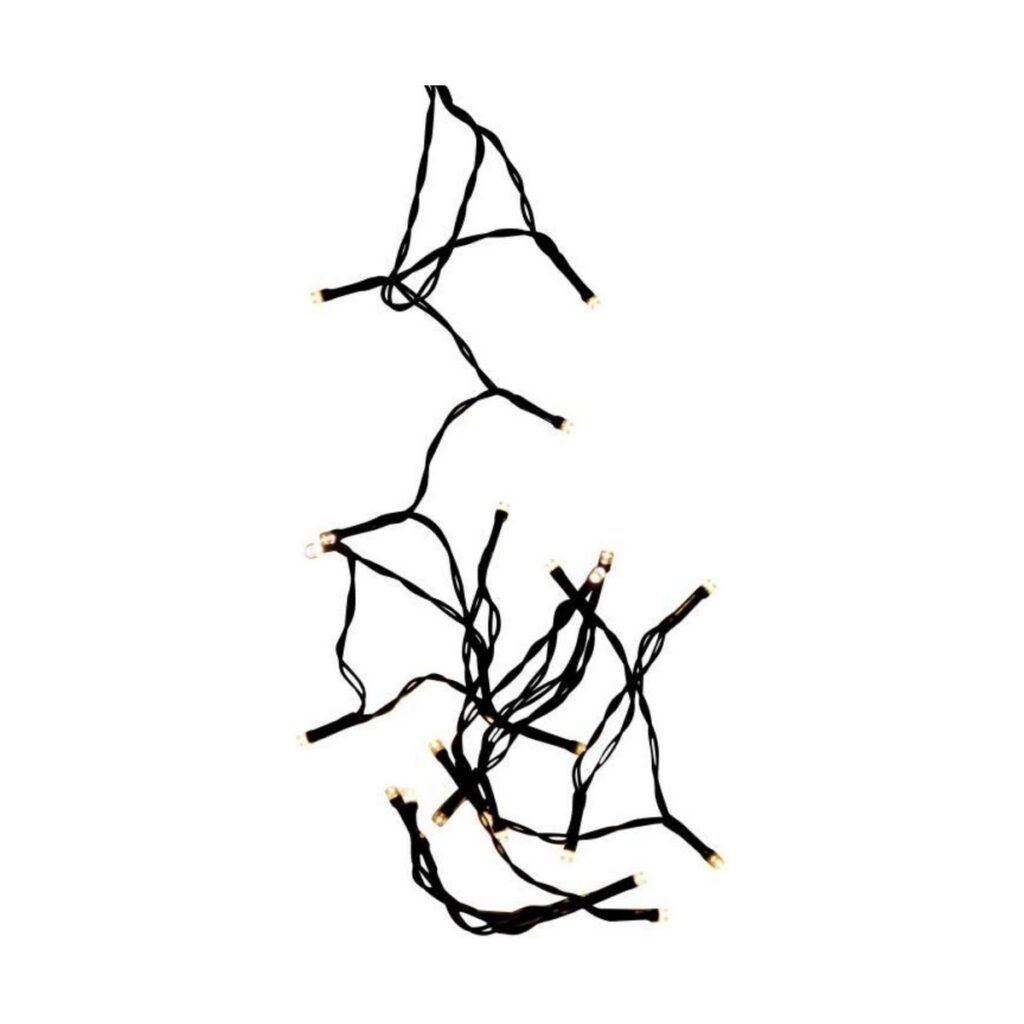 S7903817_6 S7903817_6