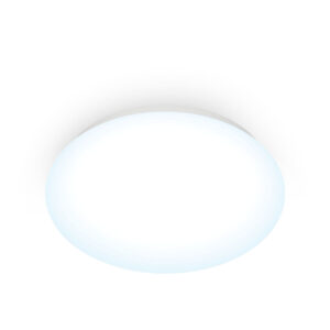 S7928639_1 S7928639_1