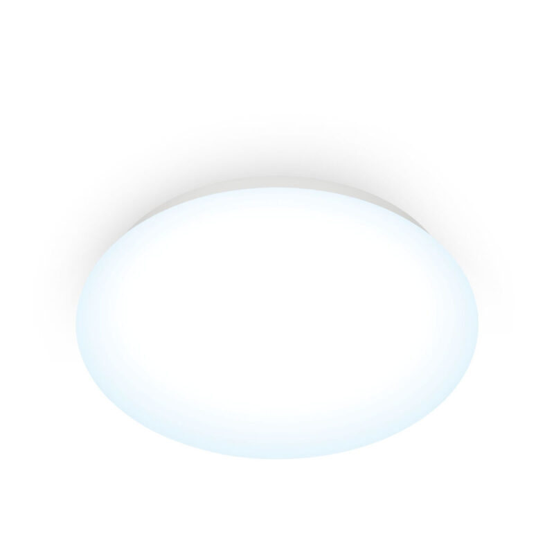 S7928639_1 S7928639_1