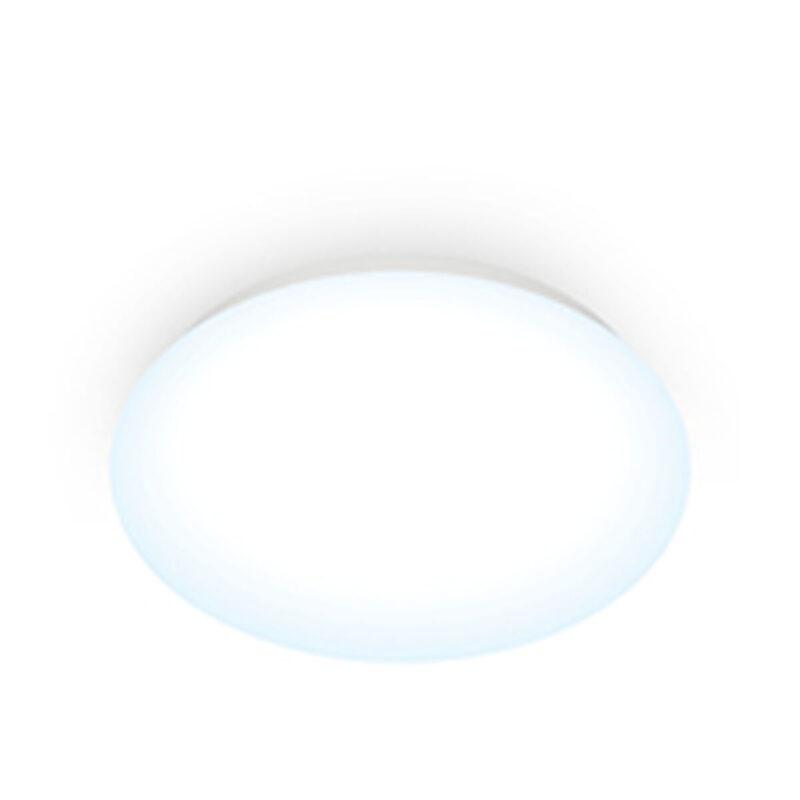 S7928639_2 S7928639_2