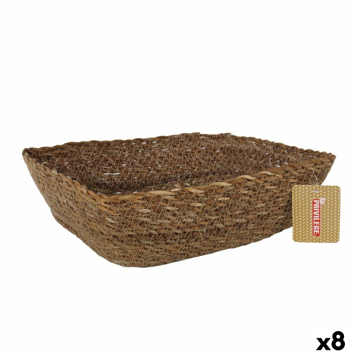 S2227889_0 S2227889_0
