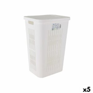 S2232613_0 S2232613_0