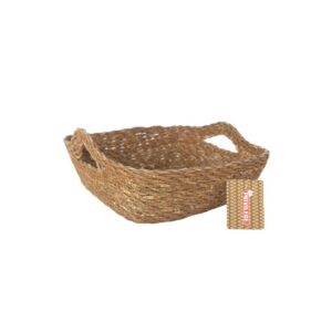 S2234237_1 S2234237_1