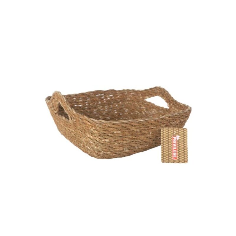 S2234237_1 S2234237_1