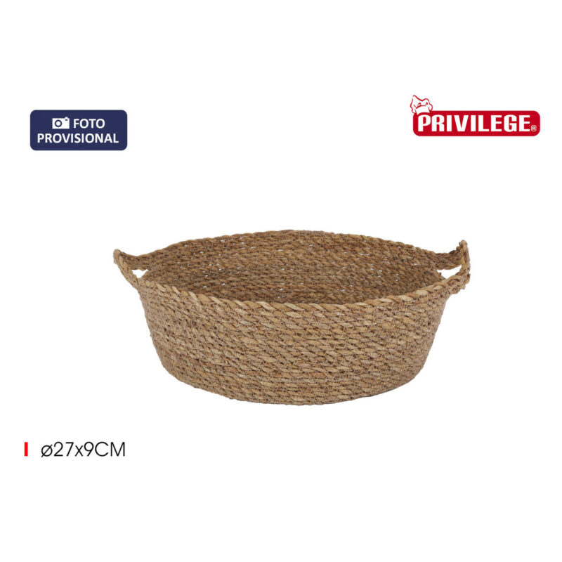 S2234243_2 S2234243_2