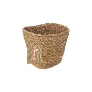 S2234297_1 S2234297_1