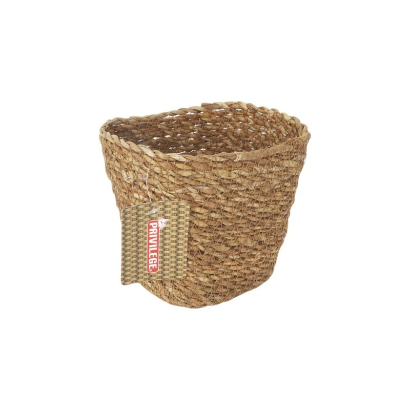 S2234297_1 S2234297_1