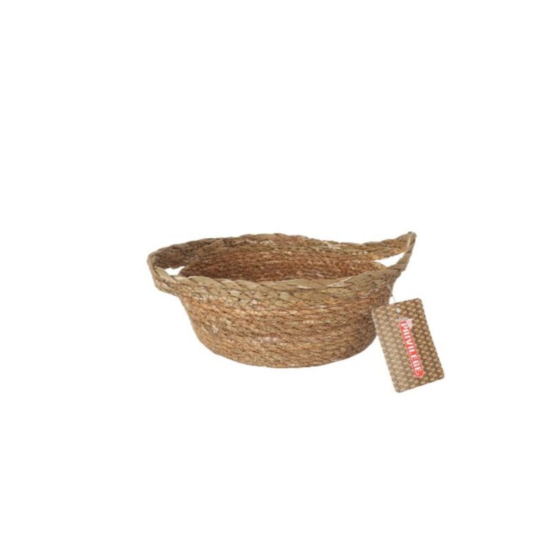 S2234758_1 S2234758_1