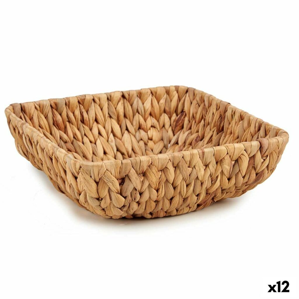 S3618342_0 S3618342_0