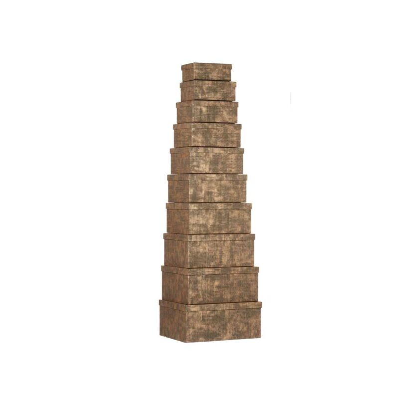 S3628748_1 S3628748_1