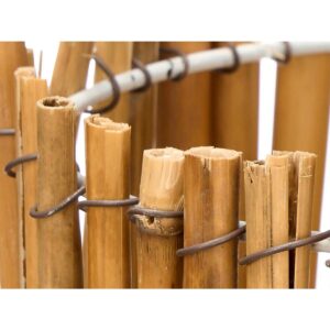 S3632677_4 S3632677_4