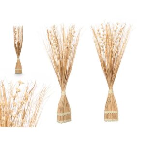 S3633217_1 S3633217_1