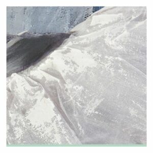 S3007206_2 S3007206_2