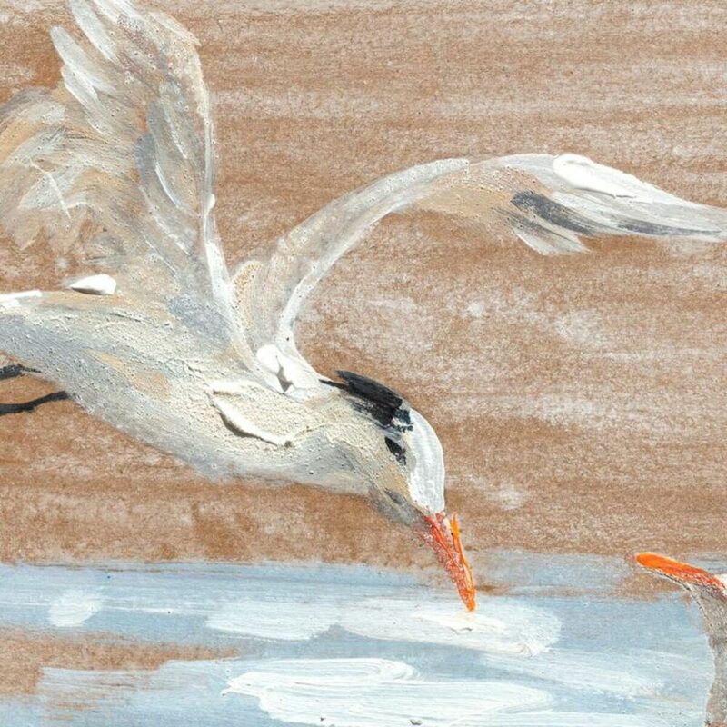 S3028223_2 S3028223_2