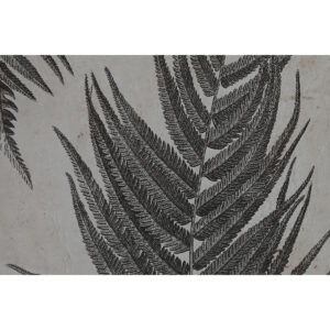 S3055710_2 S3055710_2