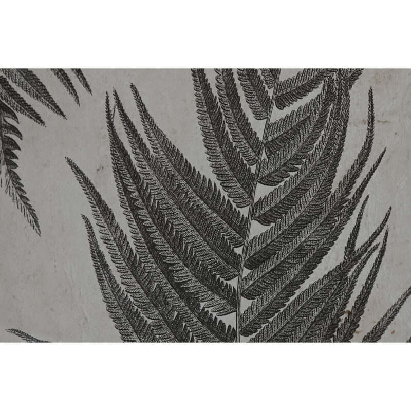 S3055710_2 S3055710_2