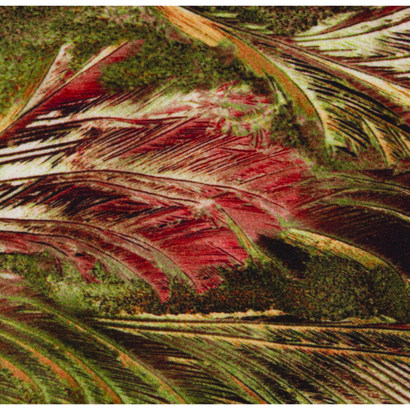 D1625708_1 D1625708_1