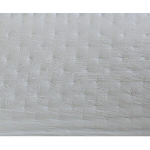 D2101097_2 D2101097_2