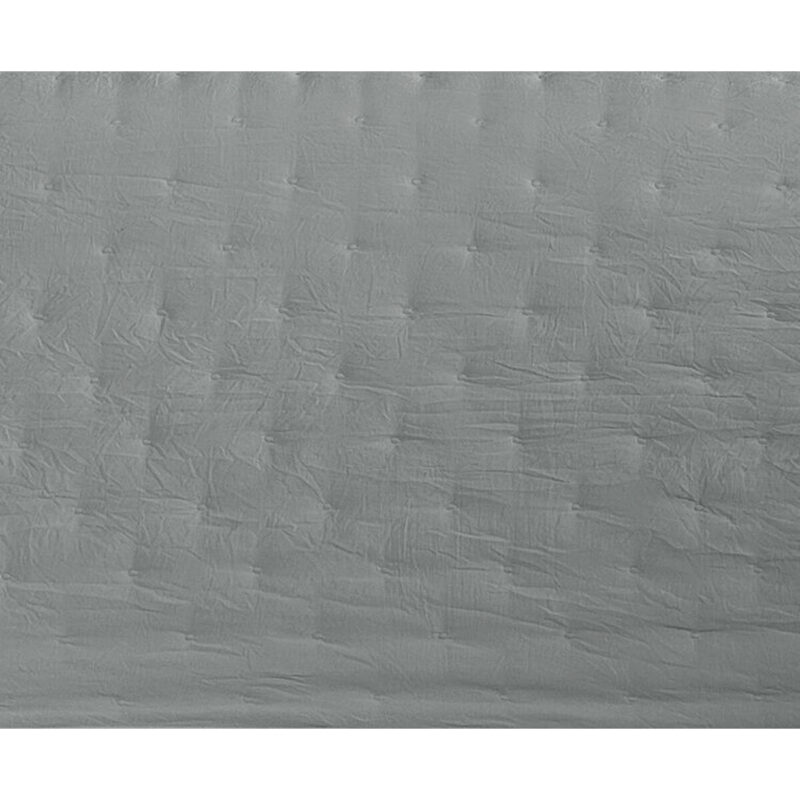 D2101107_2 D2101107_2