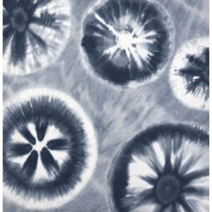 D2102721_1 D2102721_1