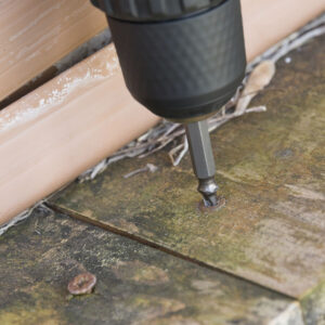 V0100916_2 V0100916_2