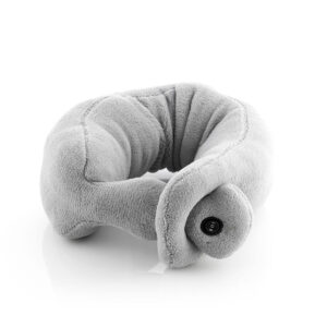 V0100949_5 V0100949_5