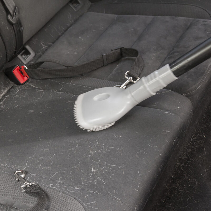 V0100985_2 V0100985_2