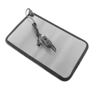 V0103386_9 V0103386_9