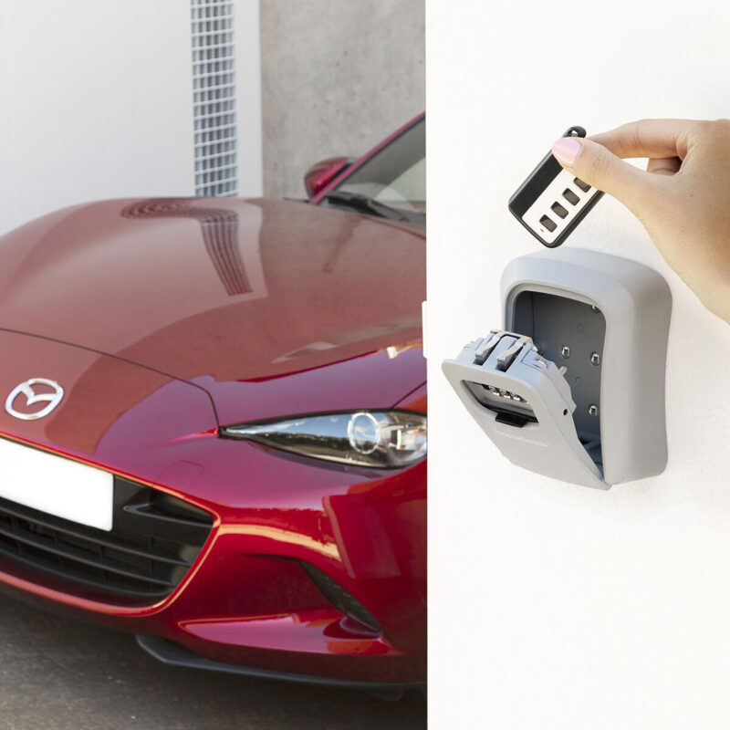 V0103479_5 V0103479_5